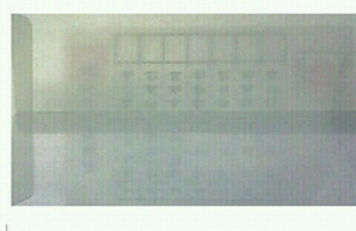 속이 훤히 비치는 부재자투표 봉투를 받은 일부 유권자들이 부정선거 의혹을 제기하며 직접 선거관리위원회에 관련 내용을 문의하는 등 시정을 요구하고 나섰다. ⓒ 트위터