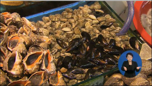 굴 등 해산물에서 노로바이러스가 검출돼 소비자들의 주의가 요망된다. ©KBS 캡처화면