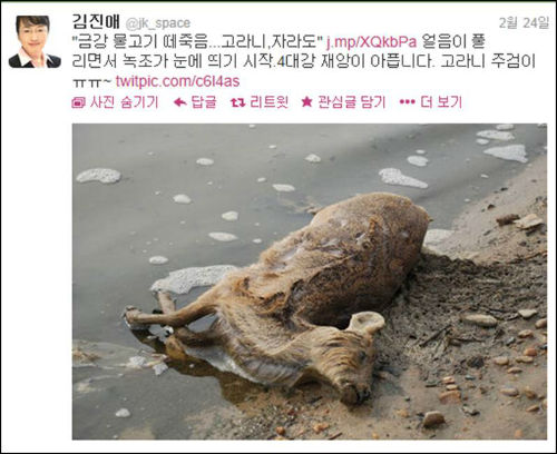 ⓒ김진애 전 의원 트위터 캡처