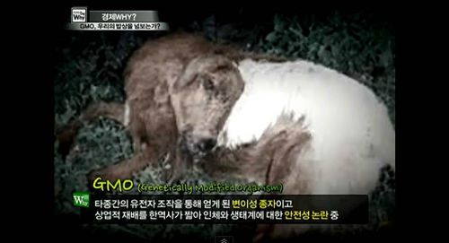 ⓒ이데일리TV 캡처