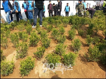 모래흙 40톤이 사용된, 대한문 앞 쌍용차 분향소 자리 대형 화단은 설치 시작 30여 분만에 조성을 완료했다. ⓒ 'go발뉴스'