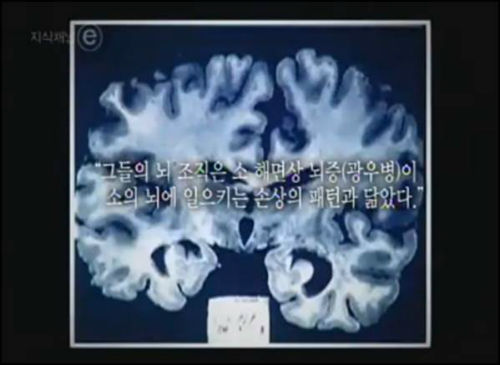 2008년 방영된 지식채널ⓔ의 '17년후'편 ⓒ'지식채널ⓔ' 캡처