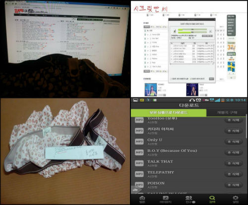 ⓒ일베 사이트 캡처