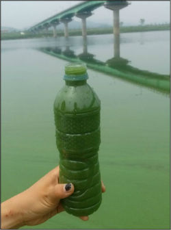 우곡교 아래 강물을 담은 모습 ⓒ마창진환경연합