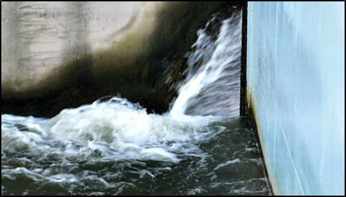 ⓒ'대구환경운동연합'