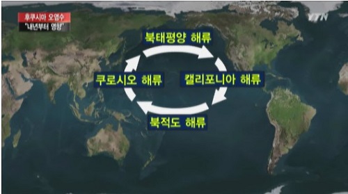 ⓒ YTN 뉴스영상