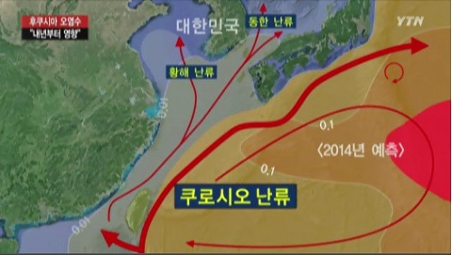 ⓒ YTN 뉴스영상