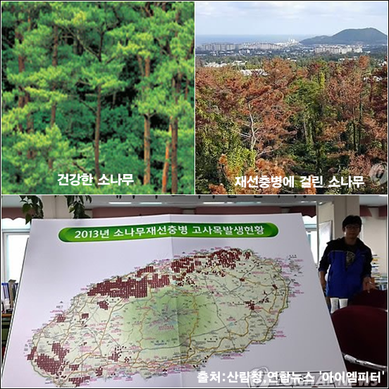 ⓒ ‘아이엠피터’ 블로그