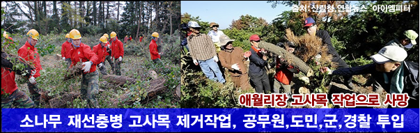 ⓒ ‘아이엠피터’ 블로그