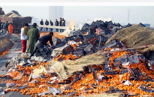 중국 커뮤니티에 올라온 사진.
