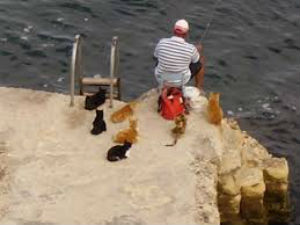 ⓒ'김경 칼럼니스트 블로그'