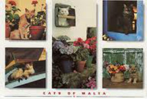 ⓒ'김경 칼럼니스트 블로그'