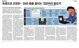 조선일보 보도를 캡처해 올린 국민 TV  김용민 피디 폐이스북. ⓒ'정상추 네트워크'