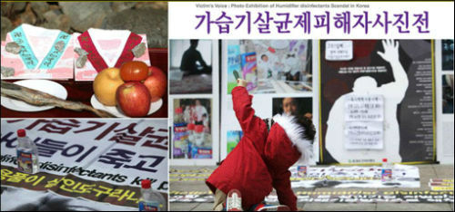 ⓒ'환경보건시민센터'