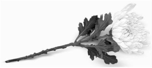 ▲이미지출처:새날 블로그