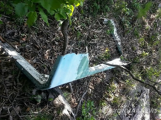 ⓒ (@yoa****) 트위터