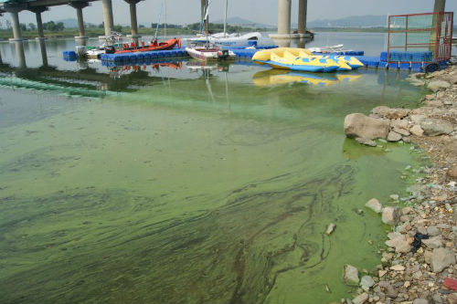 ⓒ'대구환경운동연합'