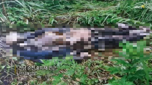 사진출처='뉴스K' 영상 편집