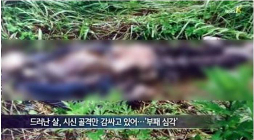 이미지출처='김용택의 참교육 이야기' 블로그