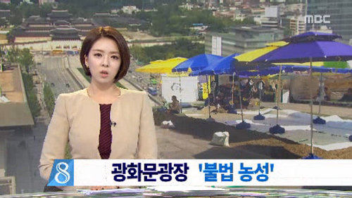 ⓒ MBC<뉴스데스크>