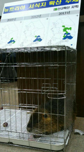 이미지출처=은수미 의원 트위터