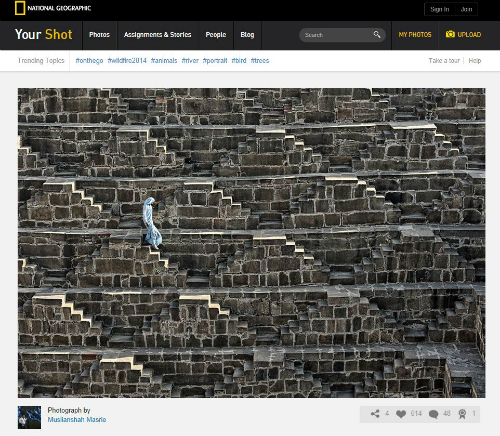 ⓒ 내셔널지오그래픽