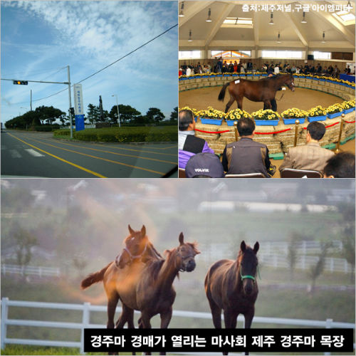 이미지출처='아이엠피터'블로그