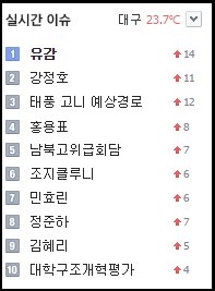 온라인 포털 다음 실시간 이슈 캡처