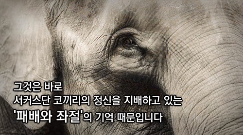 <사진제공=뉴시스>