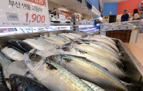 가정에서 고등어를 구울 때 미세먼지가 다량 발생된다는 환경부 발표 영향으로 고등어 가격이 지난해 같은 시기보다 20%가량 낮게 형성된 5일 오후 서울에 한 대형마트에 고등어가 진열되어 있다. 지난달 23일 환경부는 실내 미세먼지를 조사한 결과 집 안에서 고등어를 구울 때 미세먼지 농도가 나쁜 날에 비해 30배 이상 높게 나타난다고 발표했다. <사진제공=뉴시스>