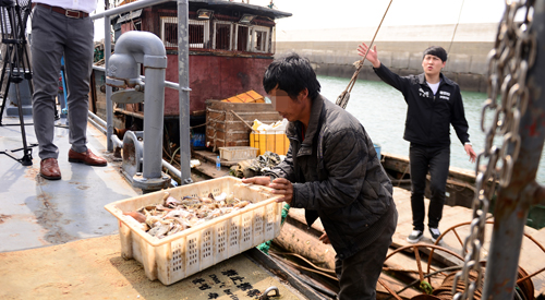 서울 서초구 서울중앙지방법원 앞에서 국제노총 대표단과 민주노총 관계자들이 주최한 민주노총 한상균 위원장 석방 촉구 기자회견에서 노동자 국회의원 윤종오 의원이 발언을 하고 있다. <사진제공=뉴시스>