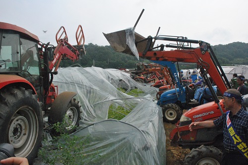 0일 오전 경북 성주군 성주읍 성산리의 한 농가 참외 비닐하우스에서 ㈔한국농업경영인회 성주군연합회 소속 농업인 200여 명이 사드배치 철회를 요구하며 트랙터로 참외밭을 갈아엎는 퍼포먼스를 하고 있다. 농업인들은 이날 트랙터 20여대를 동원, 참외 비닐하우스 2개동(990㎡)과 그 안의 참외 넝쿨을 갈아엎었다.  <사진제공=뉴시스>