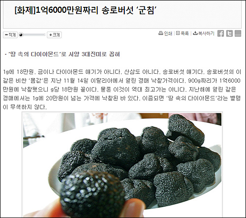 주간경향 2010년 11월30일자 <[화제]1억6000만원짜리 송로버섯 ‘군침’> 기사 ⓒ 주간경향 인터넷 홈페이지 화면캡처