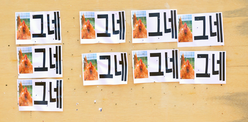 성주에 등장한 닭그네 15일 오후 경북 성주군 성밖숲에서 열린 ‘사드 배치 철회 1만 군민 결의대회’에 ‘닭’ 그림과 ‘그네’라는 글자가 적힌 메시지가 놓여있다. 2016.08.15. <사진제공=뉴시스>