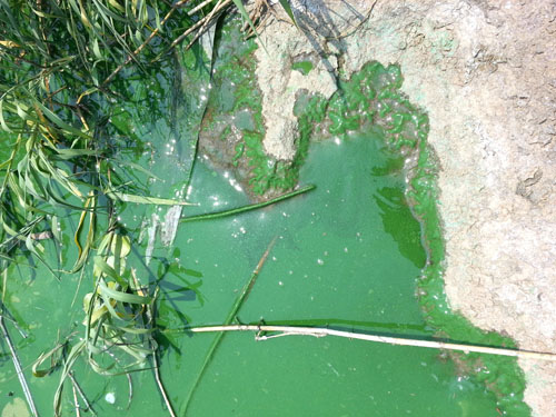 <사진제공=뉴시스>