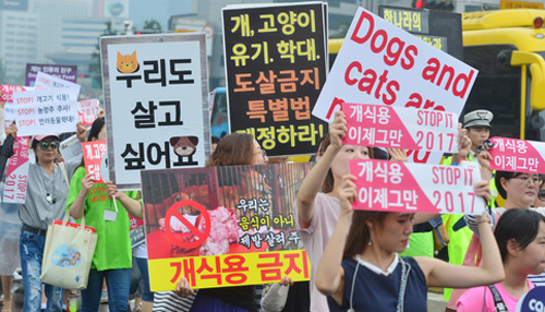 ▲ 동물자유연대 등 동물보호단체 회원들이 9일 오후 서울광장에서 'STOP IT 2017' 페스티벌을 열고 잘못된 보신문화를 지적하는 내용의 퍼포먼스를 하고 있다. <사진제공=뉴시스>