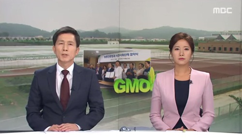 ▲ <사진=9월 1일자 전주 MBC ‘뉴스데스크’ 방송화면 캡쳐>