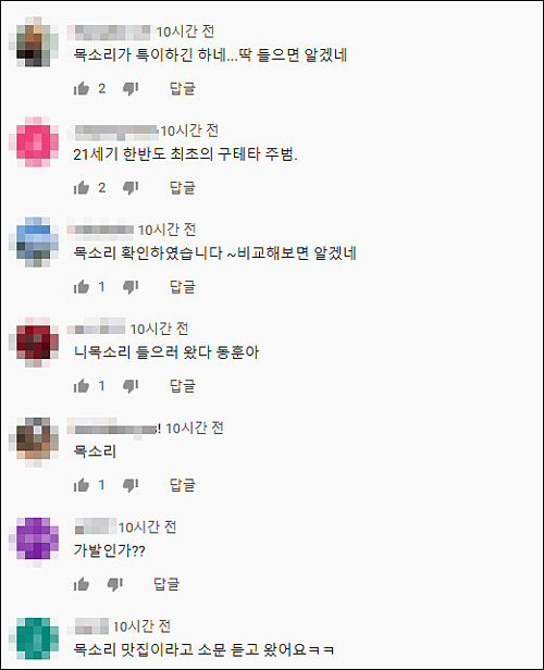 ▲ <이미지 출처=유튜브 보도 영상 댓글 캡처>