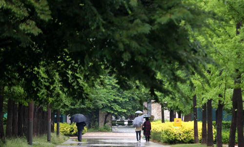 ▲ 서울 성동구 서울숲 <자료사진=뉴시스>