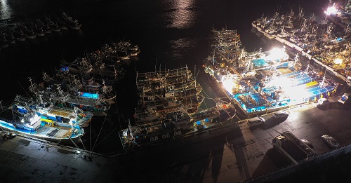 ▲ 제8호 태풍 '바비(BAVI)'가 우리나라를 향해 북상 중인 25일 오후 제주시 건입동 제주항에 어선과 관공선이 높은 파도를 피해 정박해 있다. <사진제공=뉴시스>