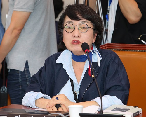 ▲ 열린민주당 김진애 의원. <사진제공=뉴시스>