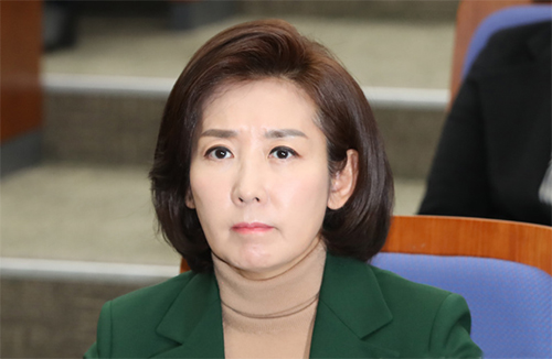 ▲ 나경원 전 미래통합당(현 국민의힘) 의원 <자료사진=뉴시스>