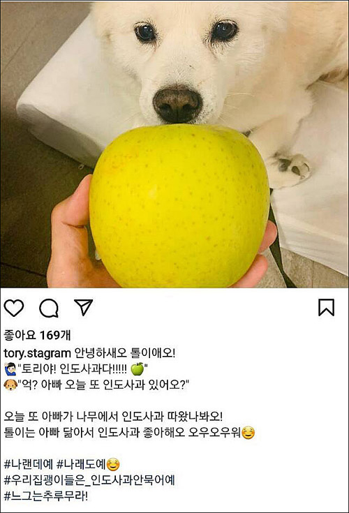 ▲ 윤석열 국민의힘 대선 예비후보의 인스타그램에 22일 자정 올라왔다가 삭제된 사진. <이미지 출처=윤석열 후보 인스타그램>