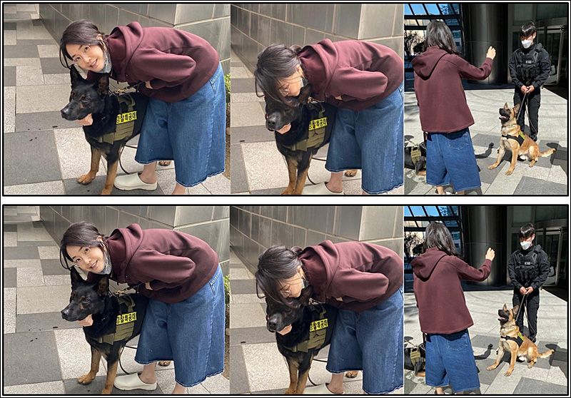 ▲ ‘김건희 동정’ 사진기사(위는 연합뉴스, 아래는 뉴시스)(2022/4/4)