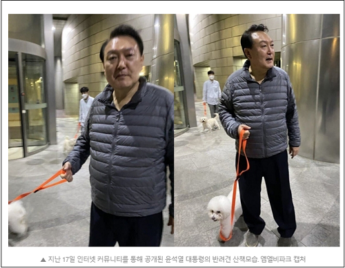 ▲ <이미지 출처=세계일보 관련 기사 캡처>