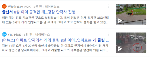 ▲ 개물림 사고 피해 상황을 보도한 방송뉴스 네이버 검색 캡처 화면 Ⓒ민주언론시민연합