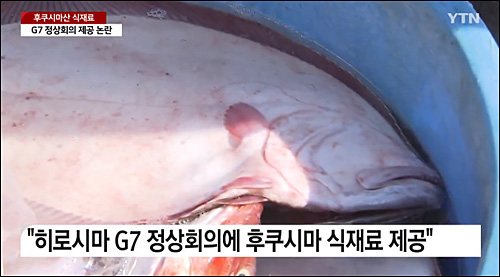 ▲ <이미지 출처=YTN 화면 캡처>