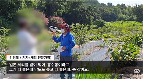 ▲ <이미지 출처=뉴스타파 관련 기사 캡처>